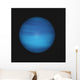 Neptune Wall Mural