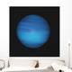 Neptune Wall Mural