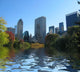 Central Park Wall Decal