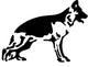 Cane Pastore Tedesco Wall Decal