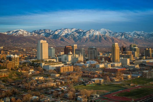 Salt Lake City Skyline Wall Decal