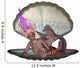 Open Clam Shell Mermaid Wall Decal