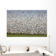 Migratory Geese Lift-Off Wall Mural