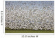 Migratory Geese Lift-Off Wall Mural