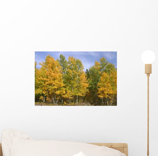 Fall Colors Wall Decal Design 3