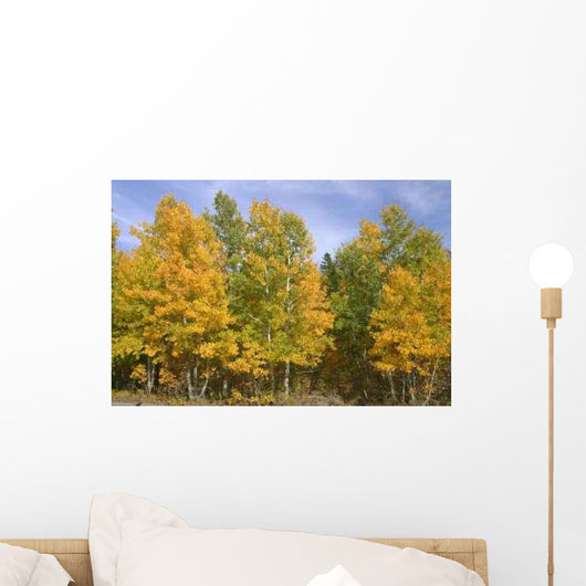 Fall Colors Wall Decal Design 3