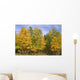 Fall Colors Wall Decal Design 3