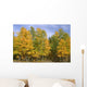 Fall Colors Wall Decal Design 3