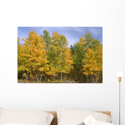 Fall Colors Wall Decal Design 3