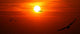 Sunset Wall Decal Design 5