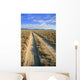 Desert Road Wall Decal