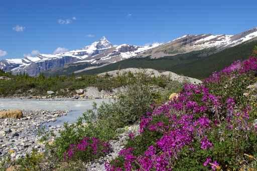 Mt Robson Provincial Park Wall Decal