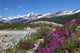 Mt Robson Provincial Park Wall Decal