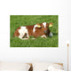 Curious Calf Wall Decal Design 2