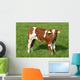 Curious Calf Wall Decal Design 1