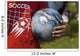 Soccer Ball Wall Mural