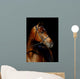 Thoroughbred Stallion Wall Mural