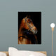 Thoroughbred Stallion Wall Mural