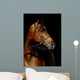 Thoroughbred Stallion Wall Mural