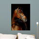 Thoroughbred Stallion Wall Mural