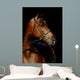 Thoroughbred Stallion Wall Mural