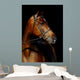 Thoroughbred Stallion Wall Mural