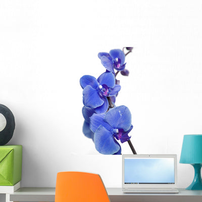 Blue Orchids Wall Decal shown on a wall