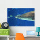 Shark Smile Wall Mural