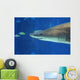 Shark Smile Wall Mural