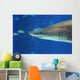 Shark Smile Wall Mural