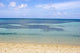 Paradise Wall Mural