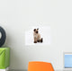 siamese cat Wall Decal