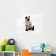 siamese cat Wall Decal