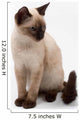 siamese cat Wall Decal