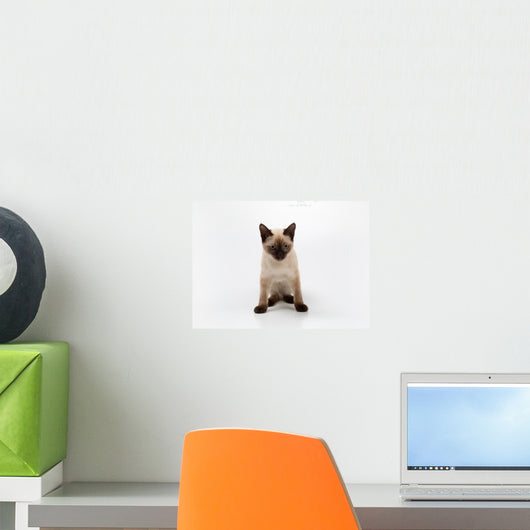 Siamese Cat Wall Decal