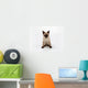 Siamese Cat Wall Decal