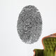 thumbprint over white Wall Decal
