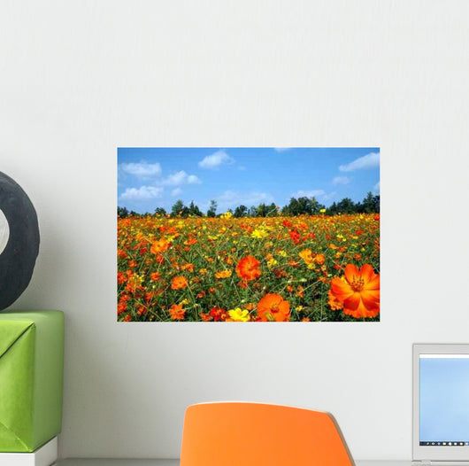 Field Wildflowers Wall Decal Design 3