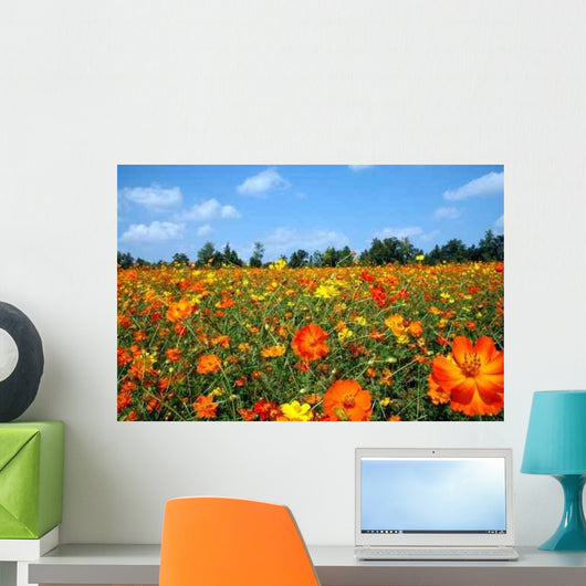 Field Wildflowers Wall Decal Design 3