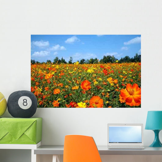 Field Wildflowers Wall Decal Design 3