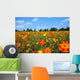 Field Wildflowers Wall Decal Design 3