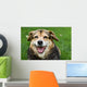 Dog Wall Mural