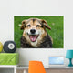 Dog Wall Mural