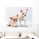 Two Chihuahua Breed Female on White Background Wall Decal