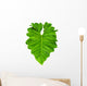 Philodendron Large Jungle Leaf Wall Decal