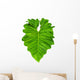 Philodendron Large Jungle Leaf Wall Decal