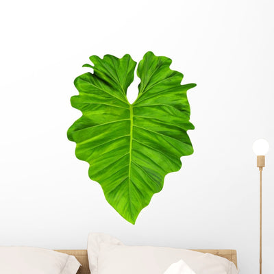 Philodendron Large Jungle Leaf Wall Decal shown on a wall