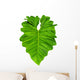Philodendron Large Jungle Leaf Wall Decal
