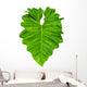 Philodendron Large Jungle Leaf Wall Decal