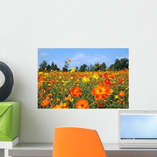 Field Wildflowers Wall Decal Design 1